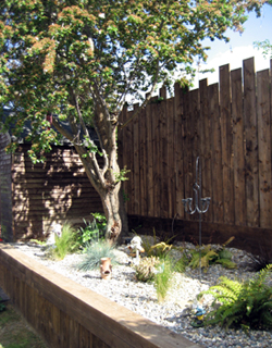 Raised beds and fencing